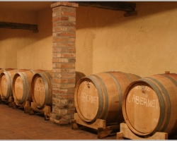 cantina6