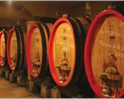 cantina3