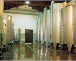 cantina2